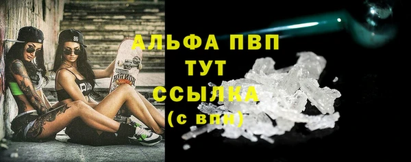 шишки Абаза