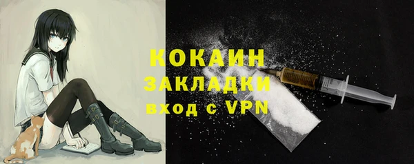 шишки Абаза