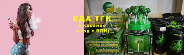 шишки Абаза