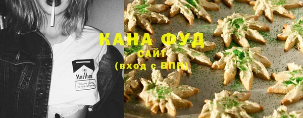 шишки Абаза