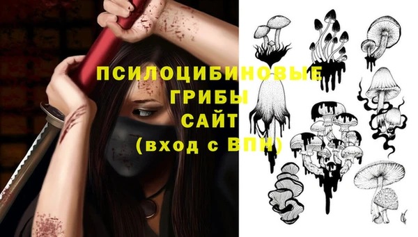 гашик Абдулино