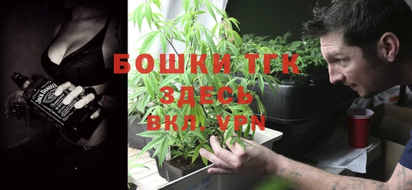 шишки Абаза