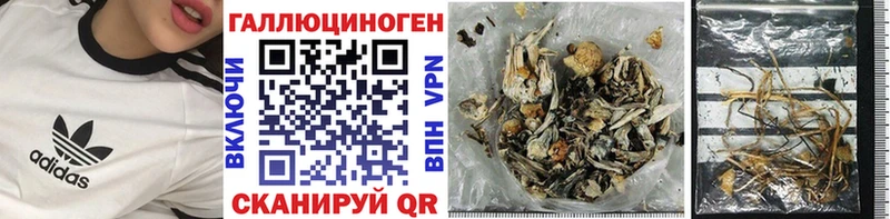 Галлюциногенные грибы Cubensis  как найти закладки  МЕГА как зайти  Полярный 